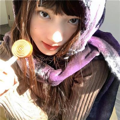 认识狗狗